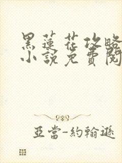 黑莲花攻略手册小说免费阅读封面