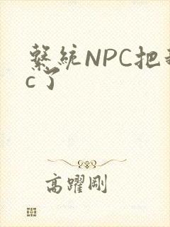 系统NPC把我c了