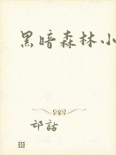黑暗森林小说