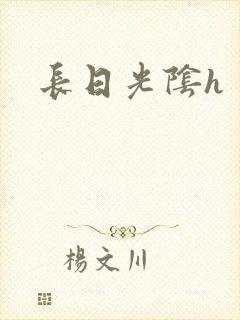 长日光阴h封面