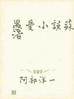 愚爱小说苏倩孙浩