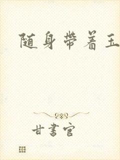 随身带着玉如意封面