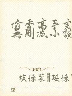 偷香高手完整版无删减小说