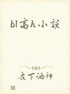 bl高h小说封面