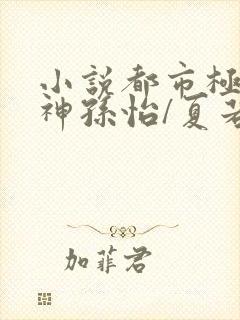 小说都市极品医神孙怡/夏若雪完结版