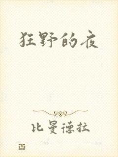 狂野的夜