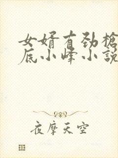 女婿有劲枪枪到底小峰小说