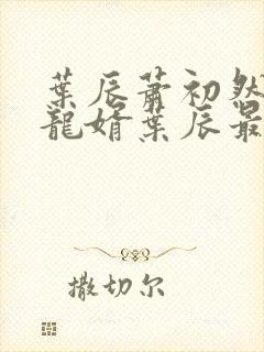 叶辰萧初然上门龙婿叶辰最新