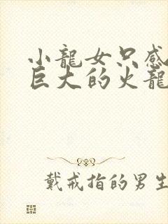 小龙女只感觉那巨大的火龙枪