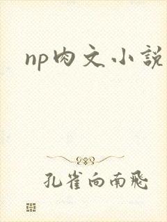 np肉文小说