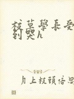 校草学长受被做到哭h