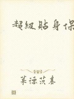 超级贴身保镖封面