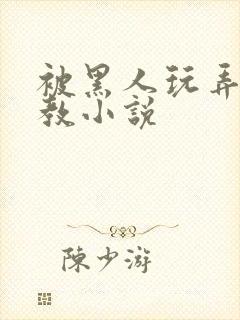 被黑人玩弄h调教小说封面