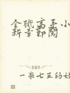 全职高手小说最新章节阅