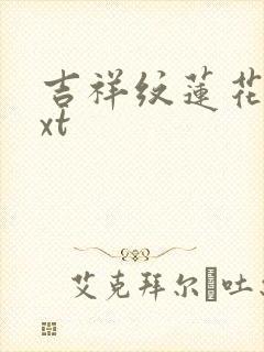 吉祥纹莲花楼txt