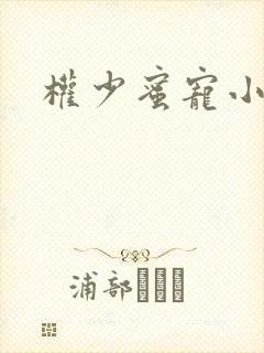 权少蜜宠小娇妻