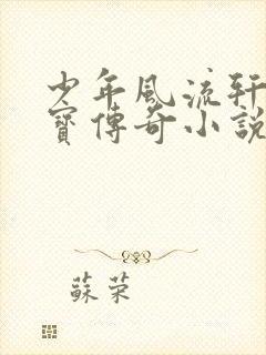 少年风流轩辕大宝传奇小说