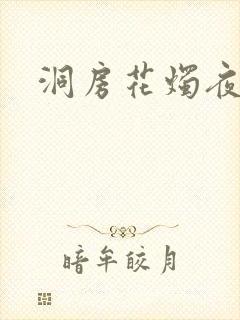 洞房花烛夜小说