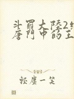 斗罗大陆2绝世唐门中的王冬