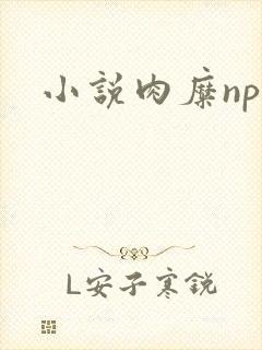 小说肉糜np封面