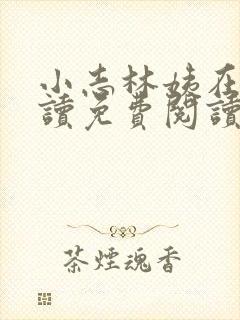 小志林姨在线阅读免费阅读