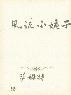 风流小姨子封面