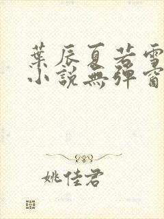 叶辰夏若雪孙怡小说无弹窗封面