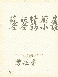 苏妖精厨房爹爹爸爸的小说封面