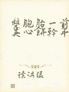 双胞胎一前一后夹心饼干年下