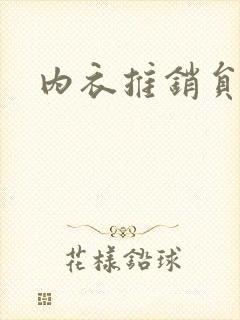 内衣推销员封面