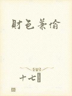 财色兼偷封面