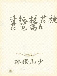 清纯校花被迫开花苞高h