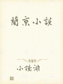 兰京小说封面