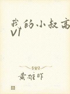 我的小叔高H1V1封面