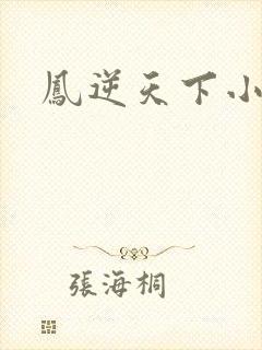 凤逆天下小说