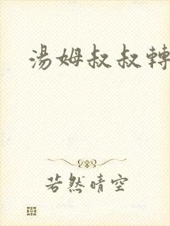 汤姆叔叔转接口