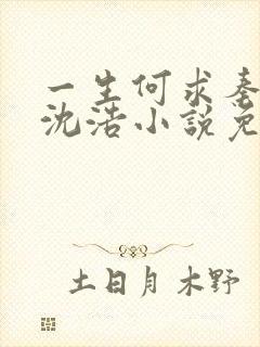 一生何求秦菲雪沈浩小说免费阅读全文