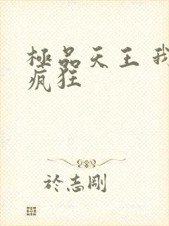 极品天王 我本疯狂封面