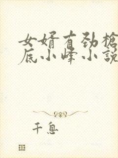 女婿有劲枪枪到底小峰小说