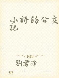 小诗的公交车日记