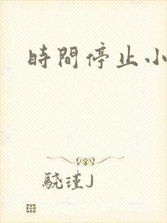 时间停止小说