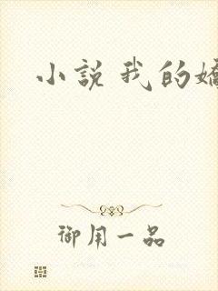 小说 我的娇妻封面