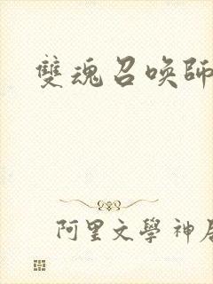 双魂召唤师封面