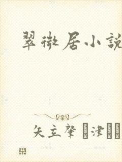 翠微居小说封面