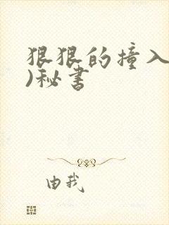 狠狠的撞入(h)秘书封面