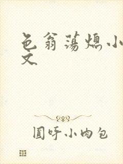 色翁荡熄小说全文封面