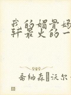 我的媚骨妈妈林轩最火的一句