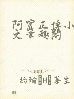 阿宾正传小说全文笔趣阁