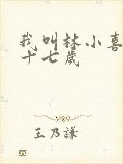我叫林小喜今年十七岁