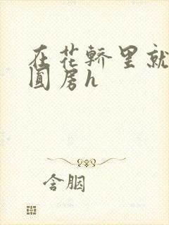 在花轿里就开始圆房h